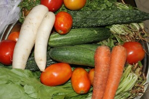 Summer and Fall Vegetable Crop
