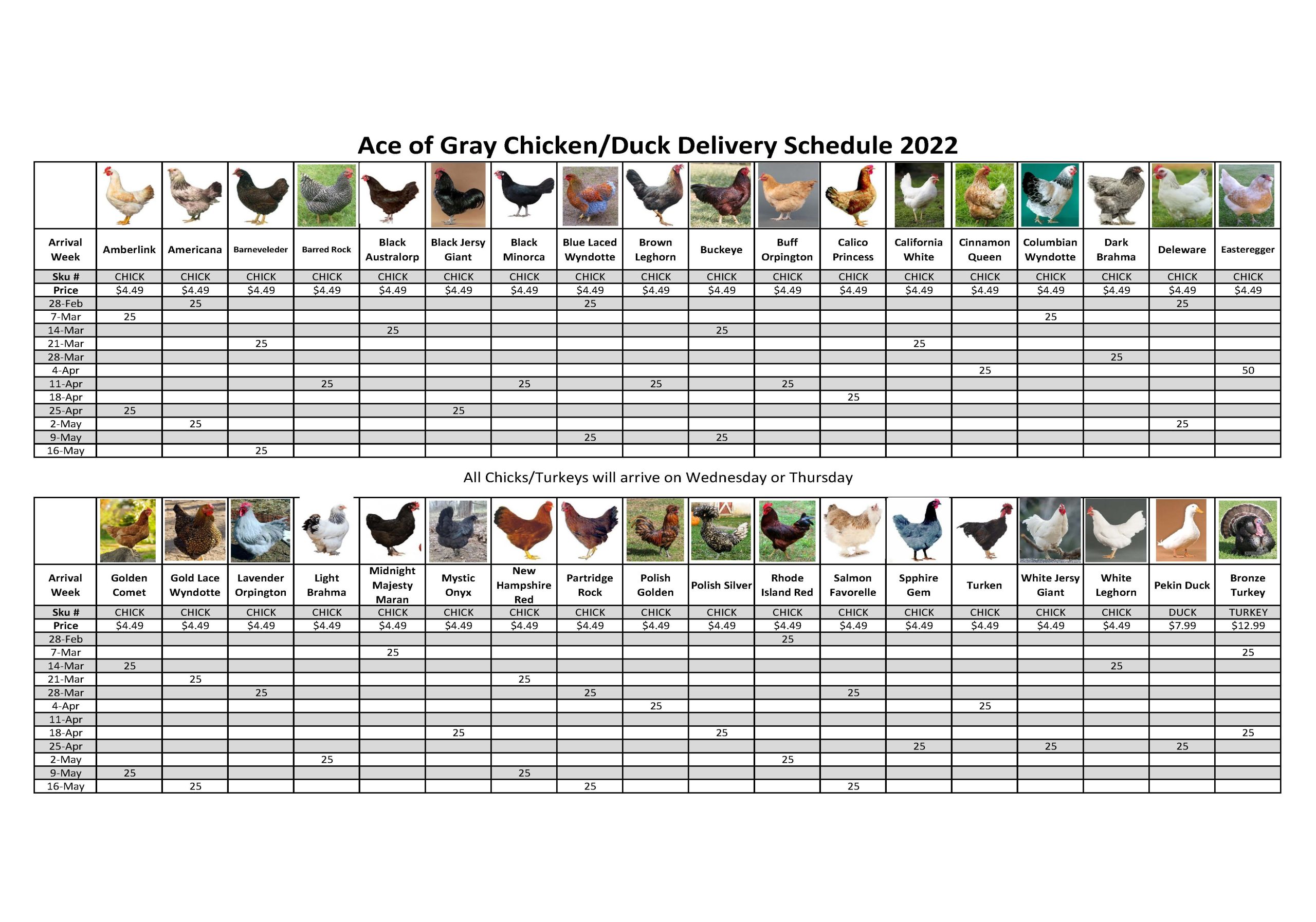 Chicken Schedule 2022