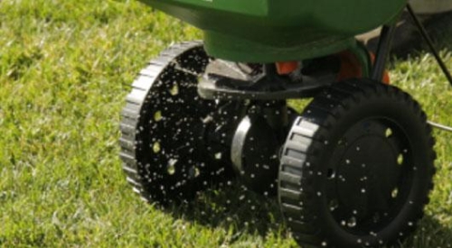 How to Overseed your Lawn