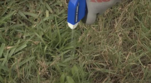 How to Stop Lawn Weeds