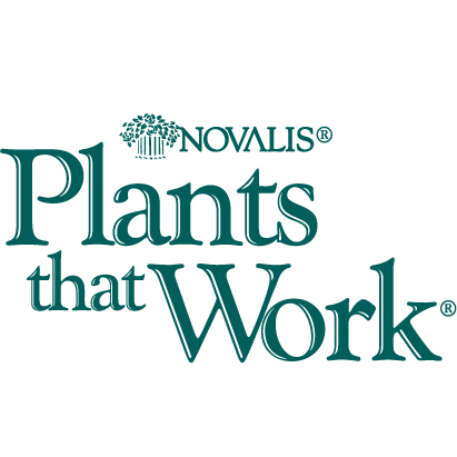 Novalis Plants that Work