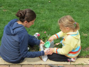 flower lessons