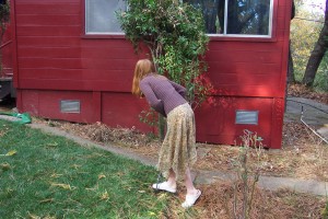 aerating the lawn by hand