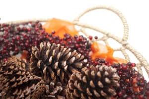 thanksgiving decor - cranberries and pinecones
