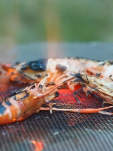 grilling fresh shrimp