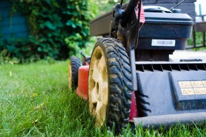 fall mower care