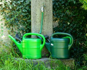 watering can 