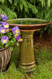 bird bath and flowers