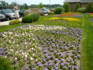 flowerbed quilt