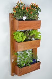 vertical garden