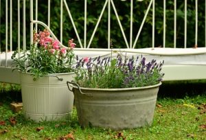 Container Garden DIY