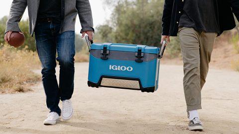 Igloo Coolers